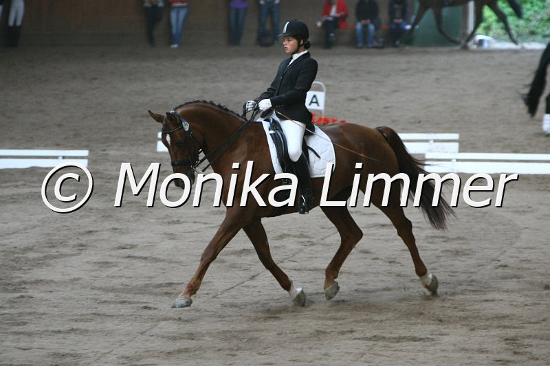 109L8448_Daylight_L Dressur.JPG